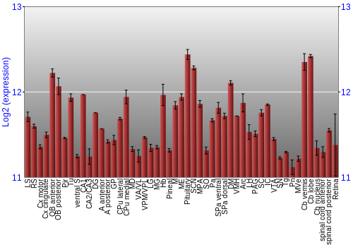 Expression graph