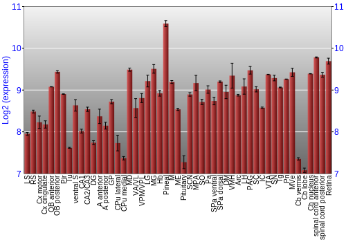 Expression graph