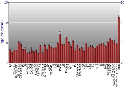 Expression graph