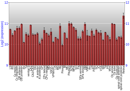 Expression graph