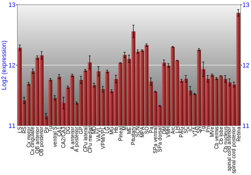 Expression graph
