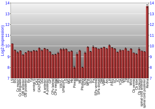 Expression graph