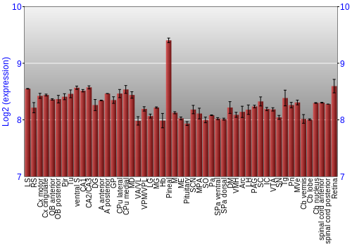 Expression graph