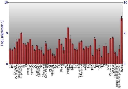 Expression graph