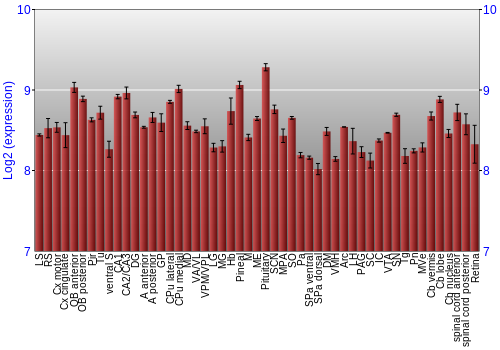 Expression graph