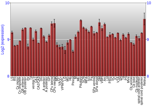 Expression graph