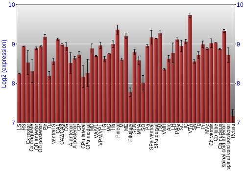 Expression graph