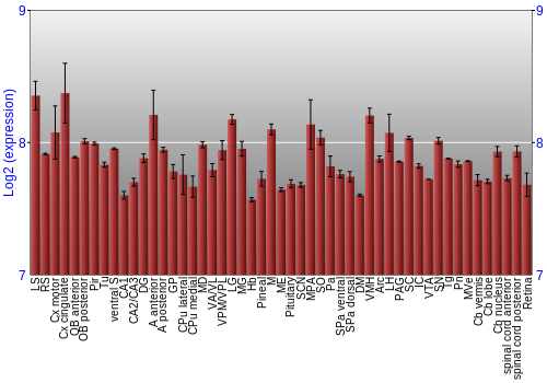 Expression graph