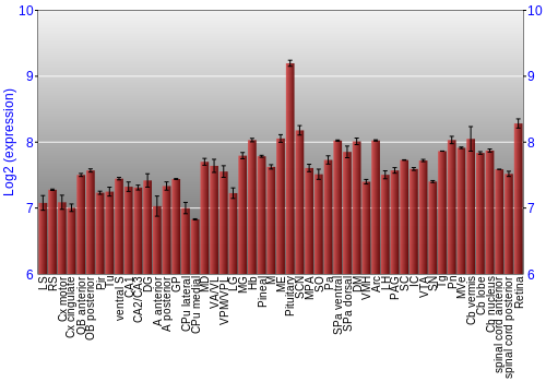 Expression graph