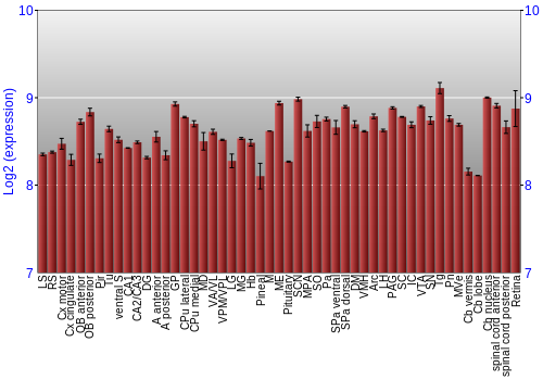 Expression graph