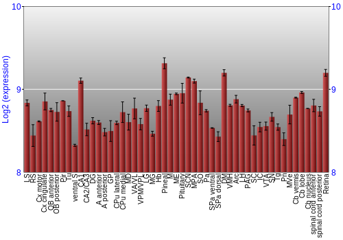 Expression graph