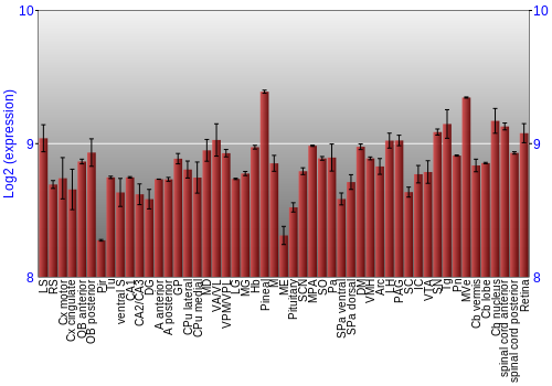 Expression graph