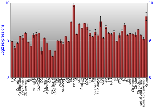 Expression graph
