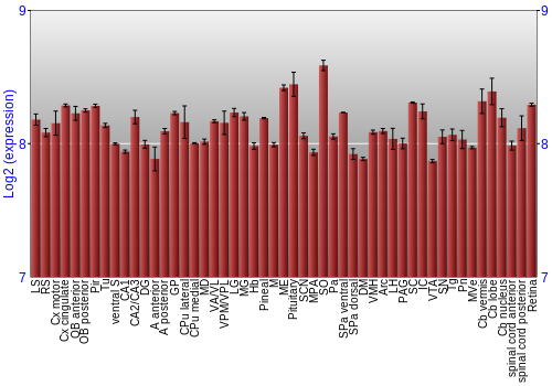 Expression graph