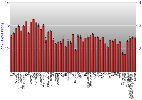 Expression graph
