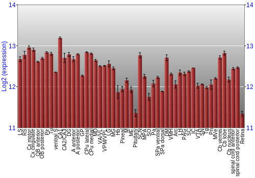 Expression graph