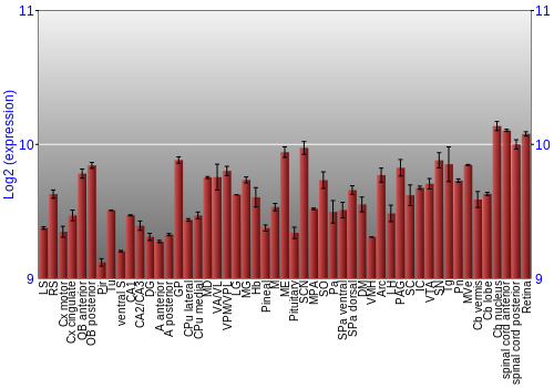 Expression graph