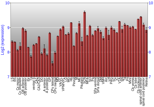 Expression graph