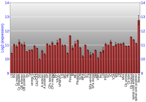 Expression graph