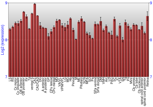 Expression graph