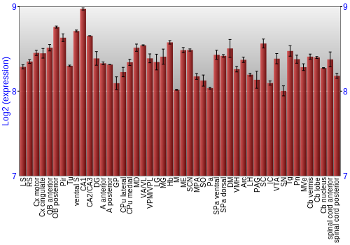 Multi-state expression graph