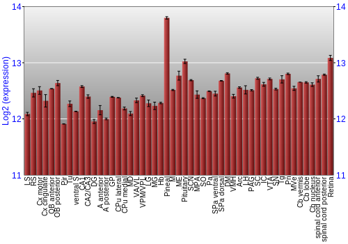 Expression graph