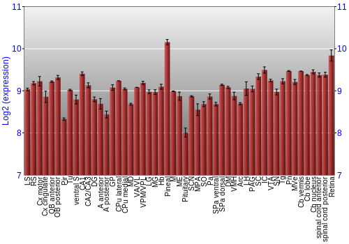 Expression graph