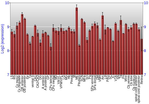 Expression graph