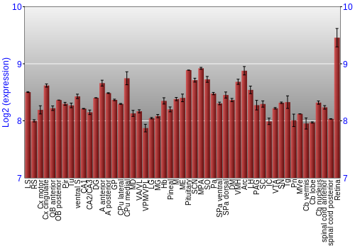 Expression graph