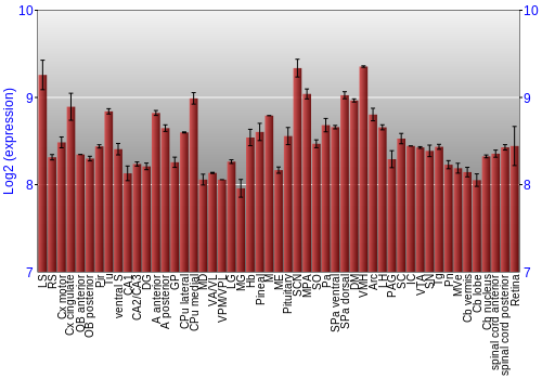Expression graph