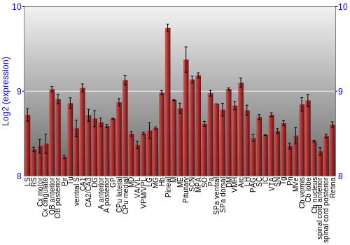 Expression graph