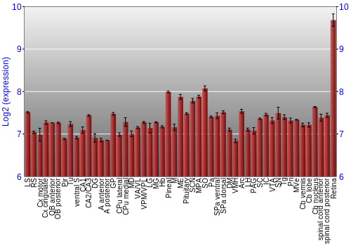 Expression graph