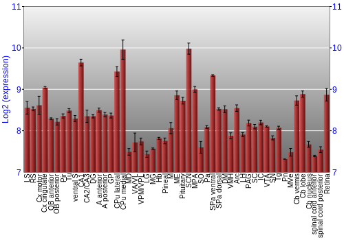 Expression graph