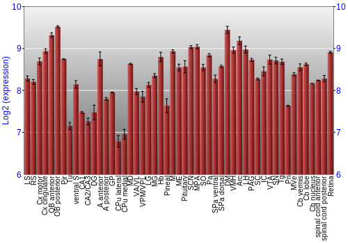Expression graph