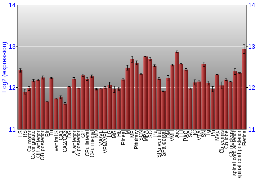 Expression graph