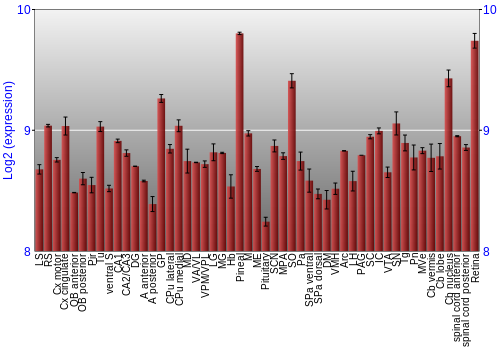 Expression graph