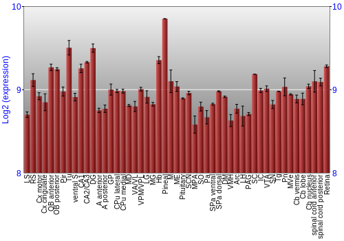 Expression graph