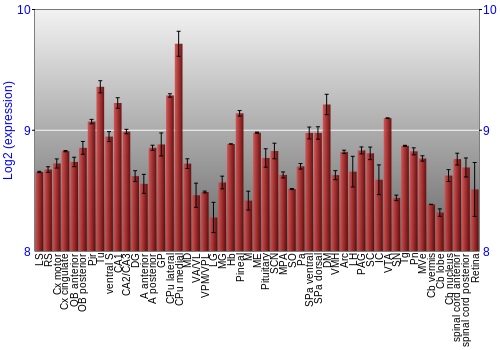 Expression graph