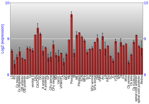 Expression graph