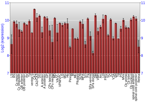 Expression graph