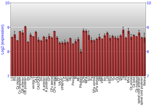 Expression graph