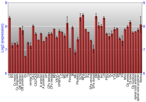 Expression graph
