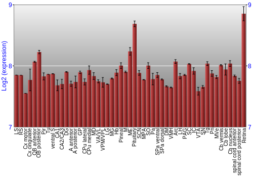 Expression graph