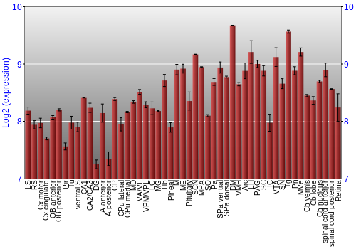 Expression graph