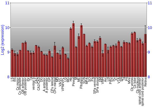 Expression graph