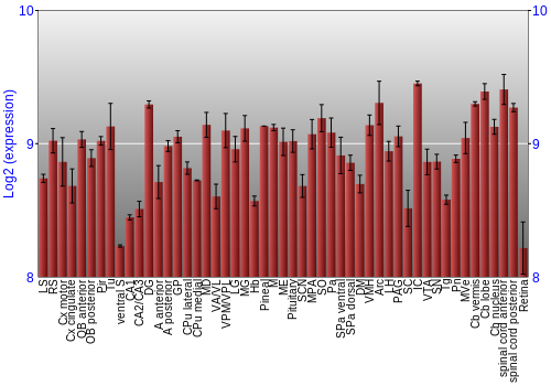 Expression graph