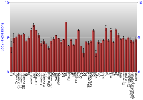 Expression graph
