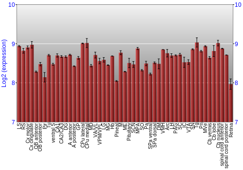 Expression graph