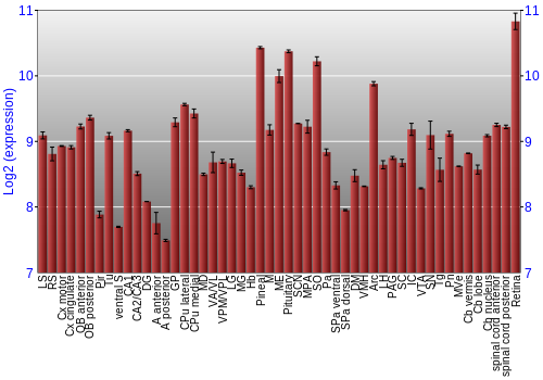 Expression graph