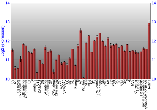 Expression graph